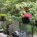 Appartamento In The Center Of With Big Terrace
