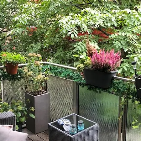Appartement In The Center Of With Big Terrace